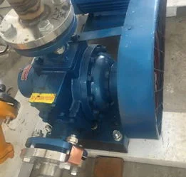 LPG Rotary Pump for Sell