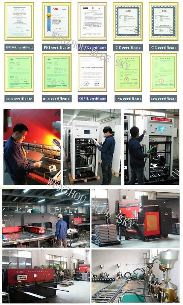 2 Hoses LPG Dispenser (RT-LPG124A) LPG Dispenser