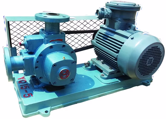 Ecotec LPG-Pumpe Yq15-5