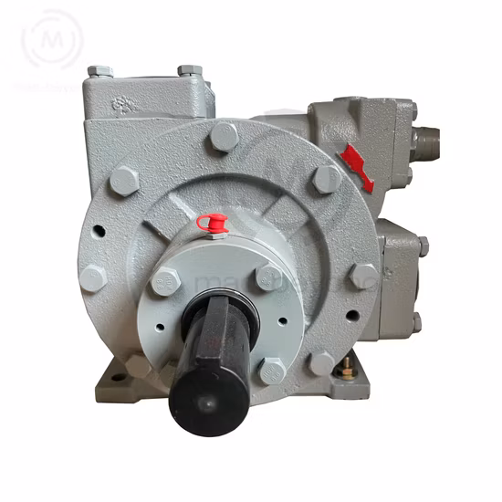 LPG-Erdölgas-Transferpumpe (Flüssiggaspumpe)